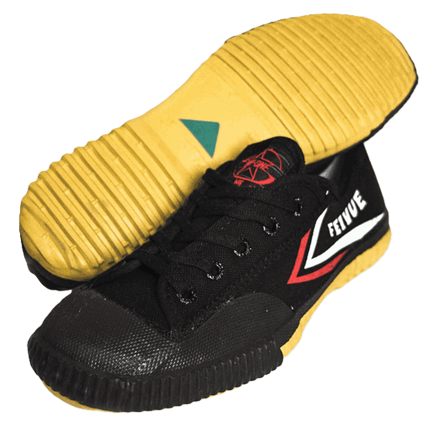 Feiyue tai chi shoes